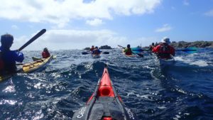 Kayak de mer Anglesey