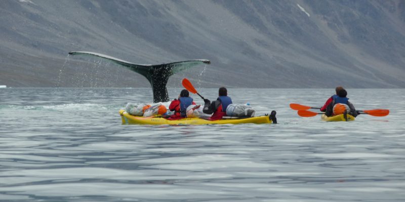 Kayak de mer Groenland