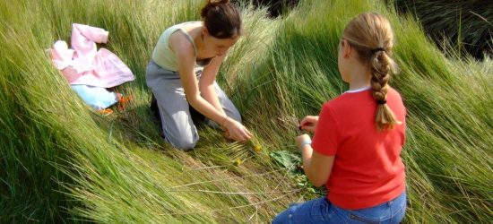 Les petits artistes en herbe006 (2)